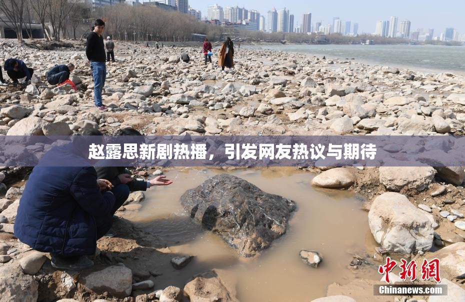 赵露思新剧热播，引发网友热议与期待