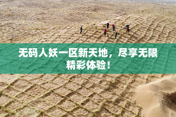 无码人妖一区新天地，尽享无限精彩体验！