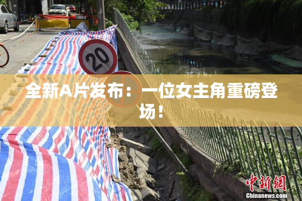 全新A片发布：一位女主角重磅登场！