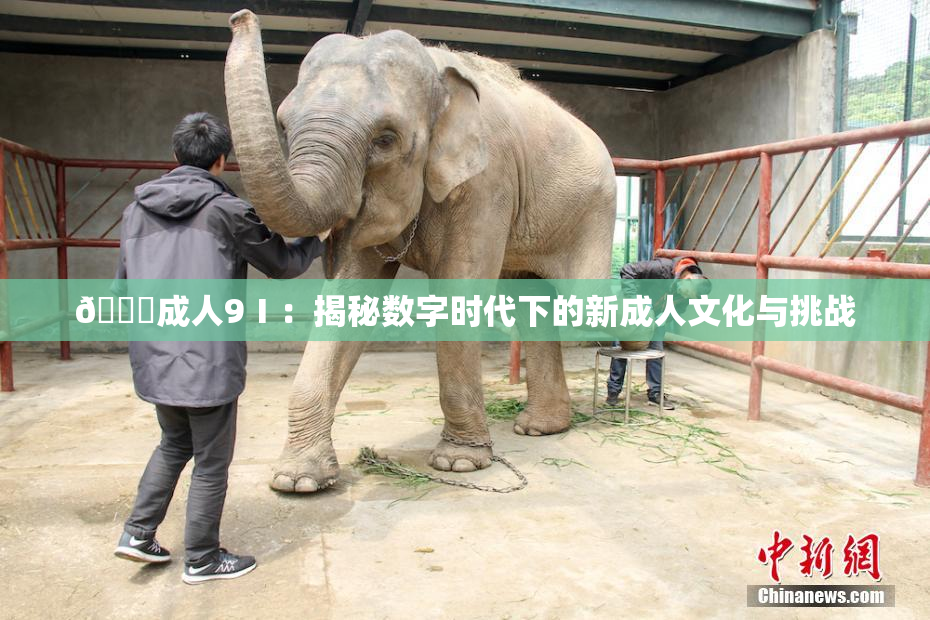 🔞成人9Ⅰ：揭秘数字时代下的新成人文化与挑战