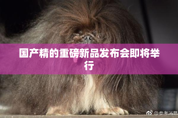 国产精的重磅新品发布会即将举行