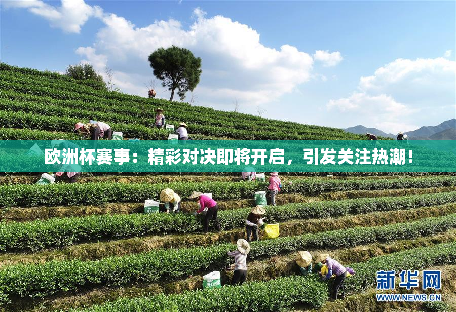 欧洲杯赛事：精彩对决即将开启，引发关注热潮！