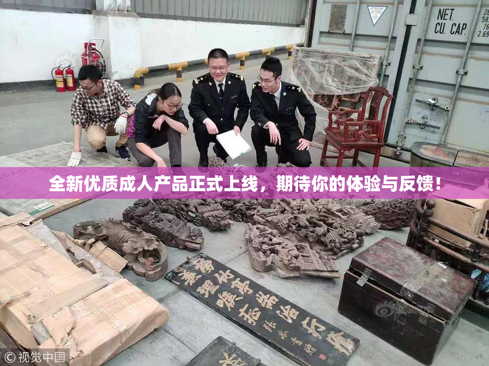 全新优质成人产品正式上线，期待你的体验与反馈！