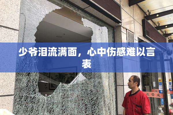 少爷泪流满面，心中伤感难以言表
