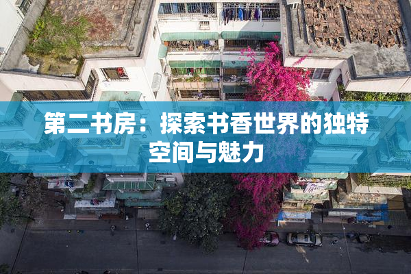 第二书房：探索书香世界的独特空间与魅力