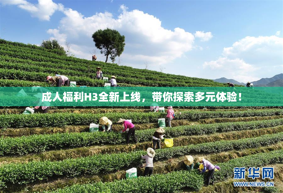 成人福利H3全新上线，带你探索多元体验！