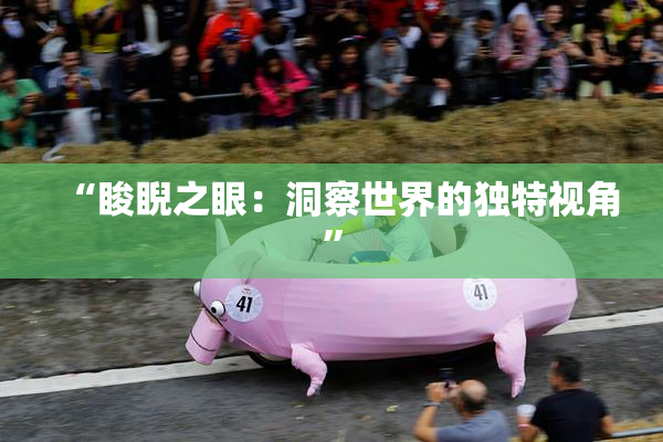 “睃睨之眼：洞察世界的独特视角”