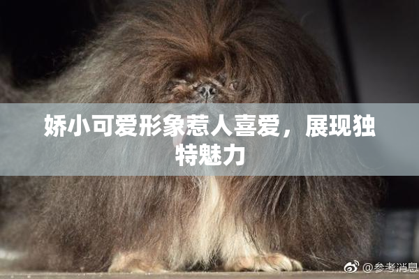 娇小可爱形象惹人喜爱，展现独特魅力