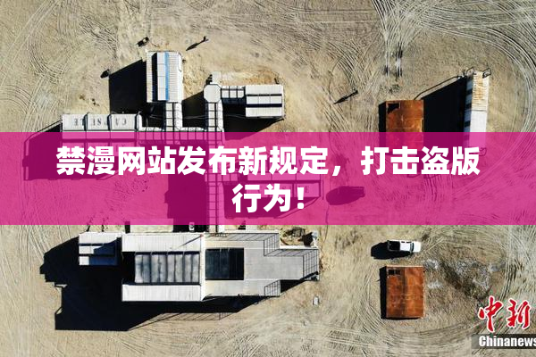 禁漫网站发布新规定，打击盗版行为！