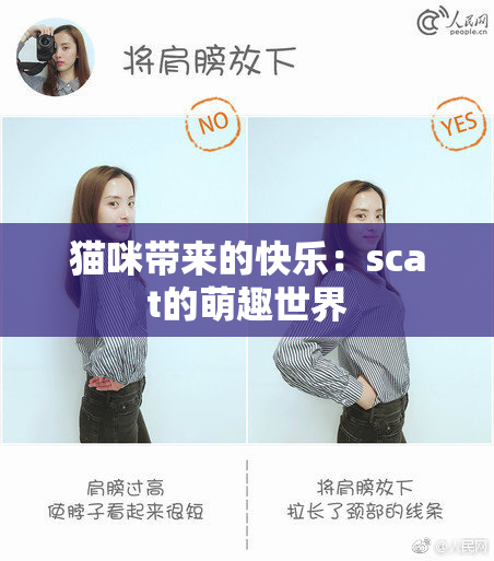 猫咪带来的快乐：scat的萌趣世界