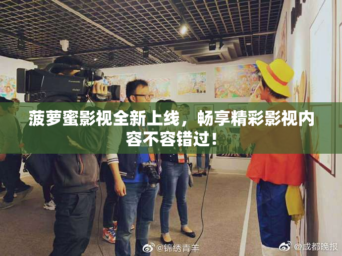 菠萝蜜影视全新上线，畅享精彩影视内容不容错过！