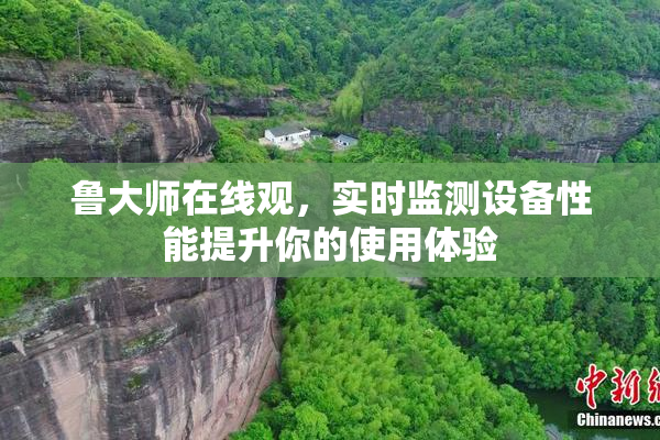 鲁大师在线观，实时监测设备性能提升你的使用体验