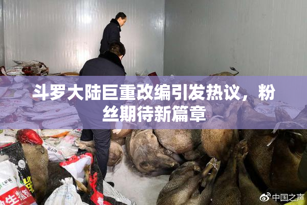 斗罗大陆巨重改编引发热议，粉丝期待新篇章
