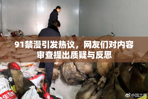 91禁漫引发热议，网友们对内容审查提出质疑与反思