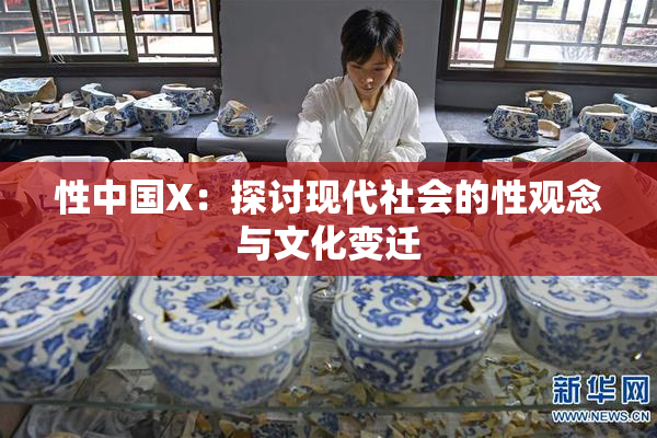 性中国X：探讨现代社会的性观念与文化变迁