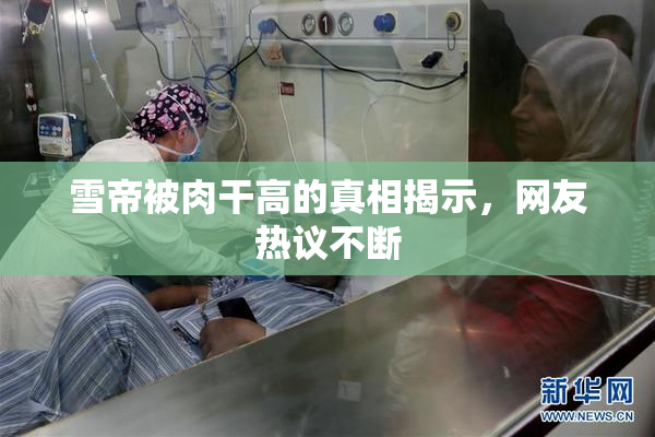 雪帝被肉干高的真相揭示，网友热议不断