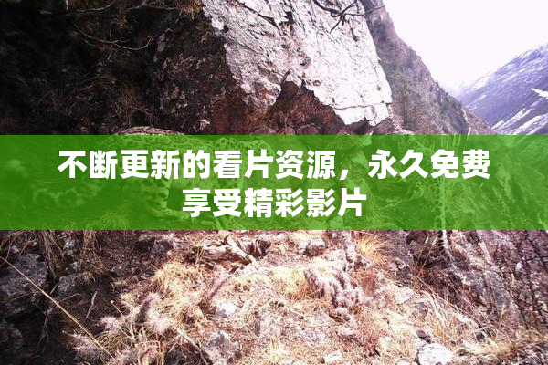 不断更新的看片资源，永久免费享受精彩影片