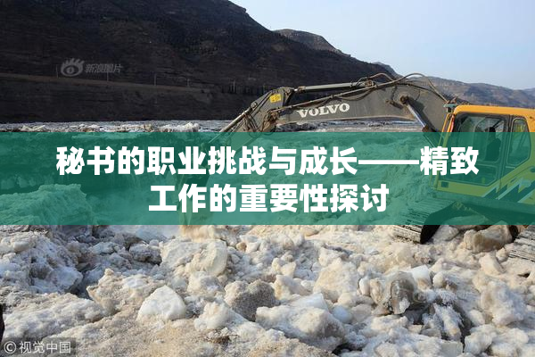 秘书的职业挑战与成长——精致工作的重要性探讨