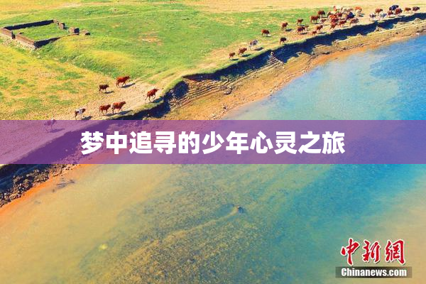 梦中追寻的少年心灵之旅