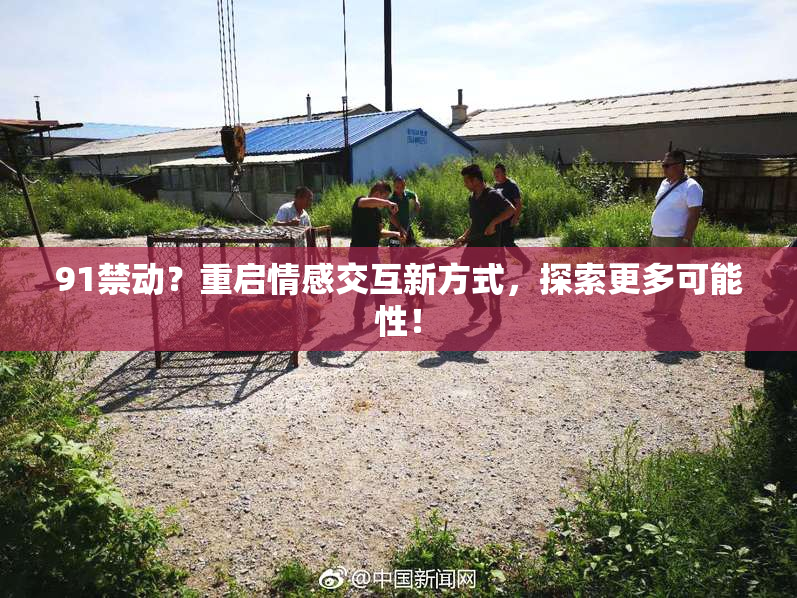 91禁动？重启情感交互新方式，探索更多可能性！