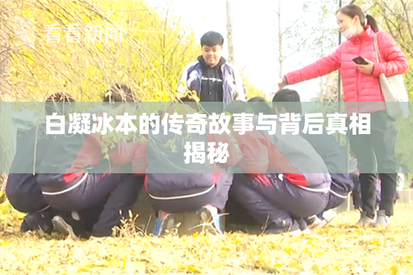 白凝冰本的传奇故事与背后真相揭秘