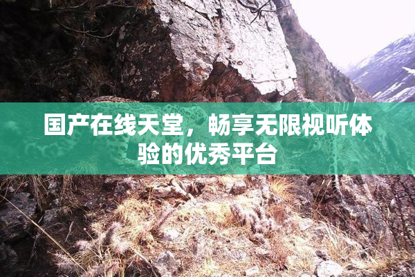国产在线天堂，畅享无限视听体验的优秀平台