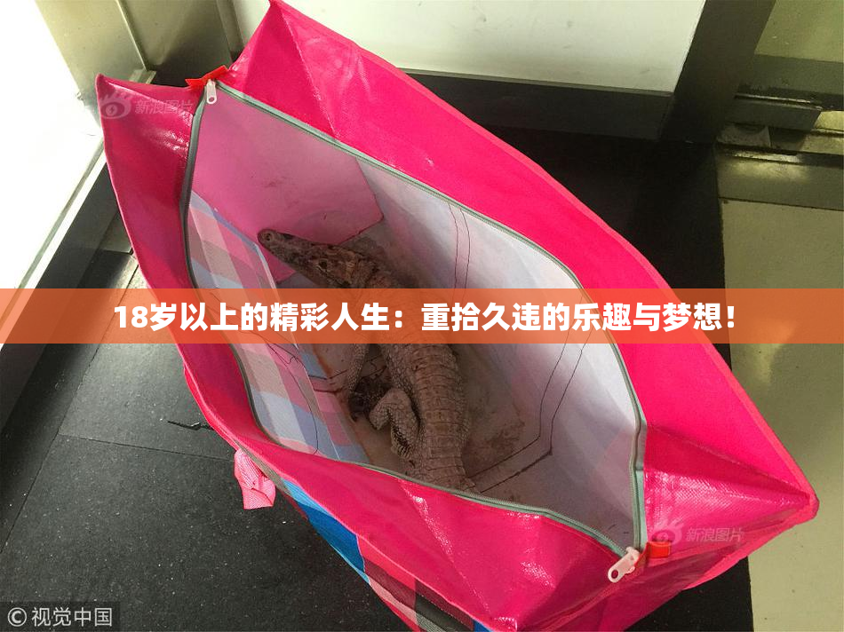 18岁以上的精彩人生：重拾久违的乐趣与梦想！