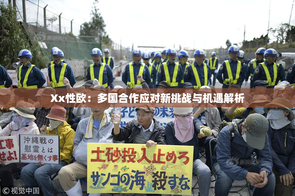 Xx性欧：多国合作应对新挑战与机遇解析