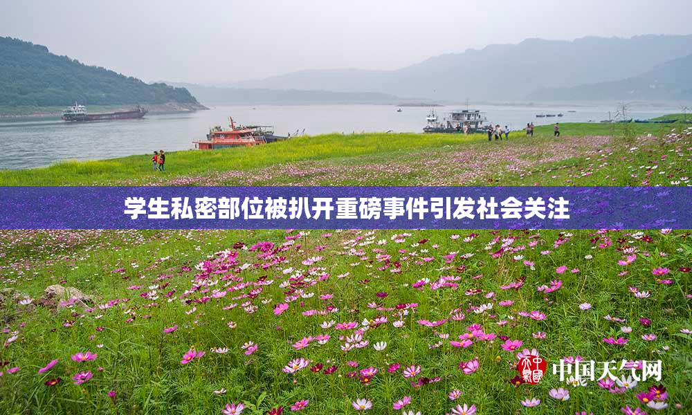 学生私密部位被扒开重磅事件引发社会关注