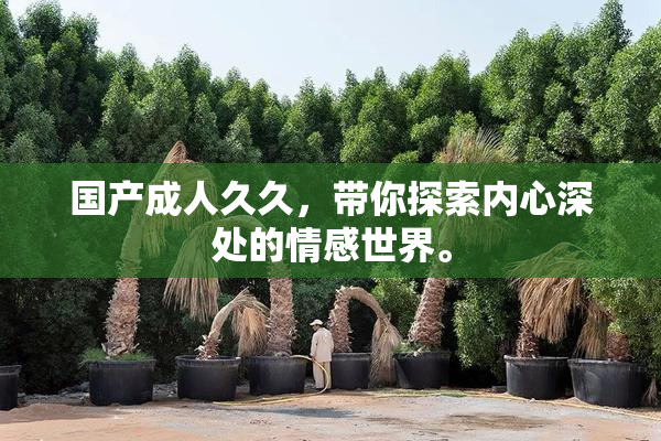 国产成人久久，带你探索内心深处的情感世界。