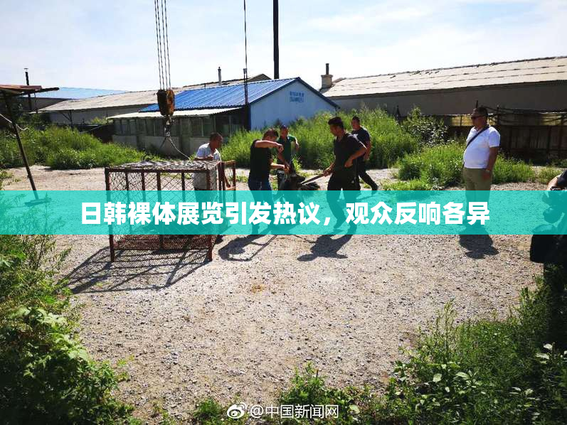 日韩裸体展览引发热议，观众反响各异