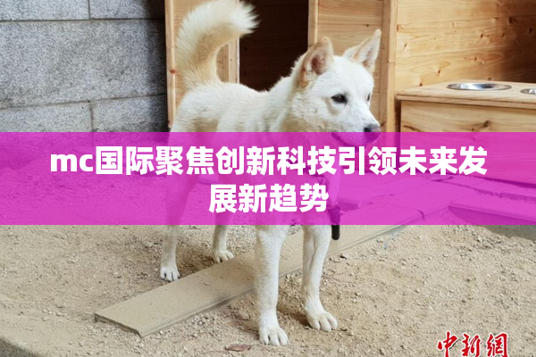 mc国际聚焦创新科技引领未来发展新趋势