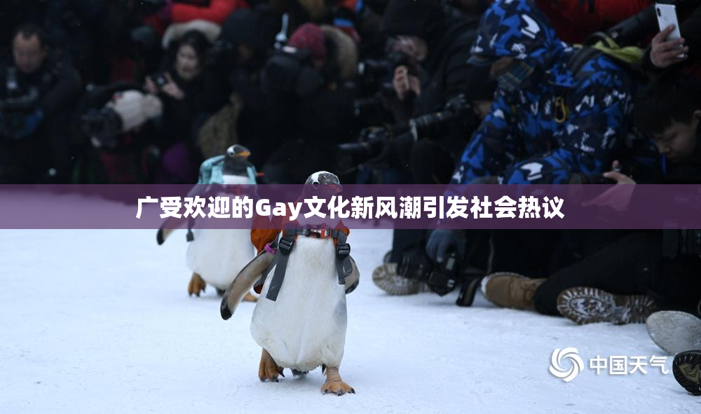广受欢迎的Gay文化新风潮引发社会热议