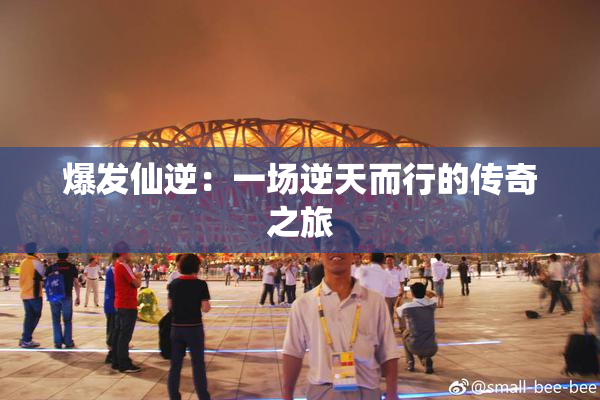 爆发仙逆：一场逆天而行的传奇之旅