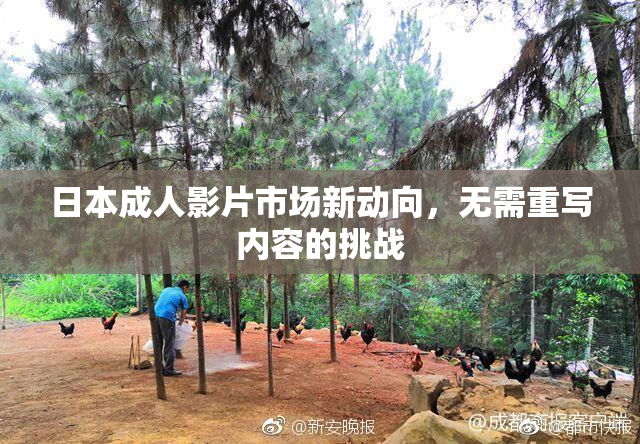 日本成人影片市场新动向，无需重写内容的挑战