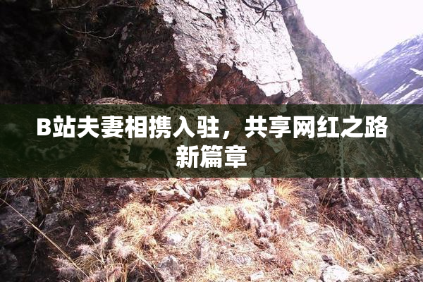 B站夫妻相携入驻，共享网红之路新篇章