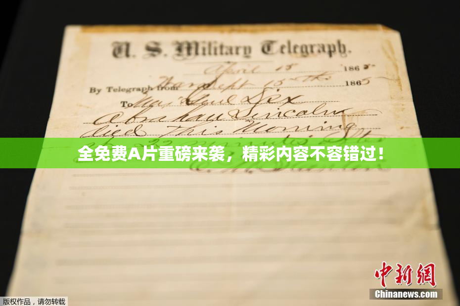 全免费A片重磅来袭，精彩内容不容错过！