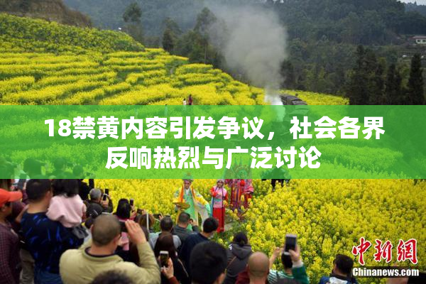 18禁黄内容引发争议，社会各界反响热烈与广泛讨论