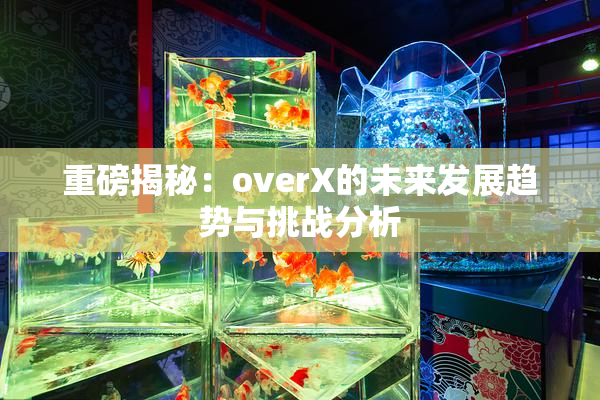 重磅揭秘：overX的未来发展趋势与挑战分析