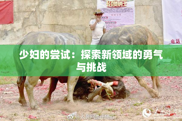 少妇的尝试：探索新领域的勇气与挑战
