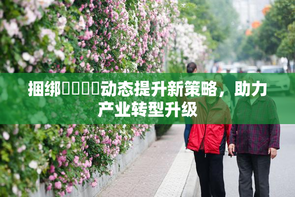 捆绑❌‌❌‌动态提升新策略，助力产业转型升级