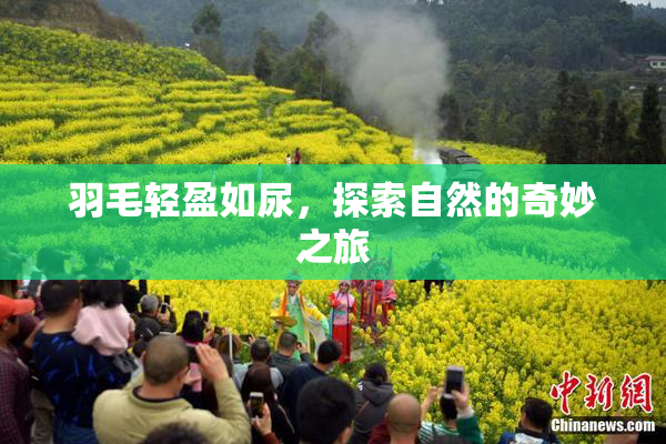 羽毛轻盈如尿，探索自然的奇妙之旅