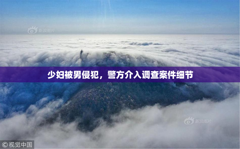 少妇被男侵犯，警方介入调查案件细节