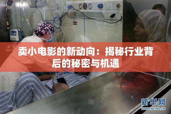 卖小电影的新动向：揭秘行业背后的秘密与机遇
