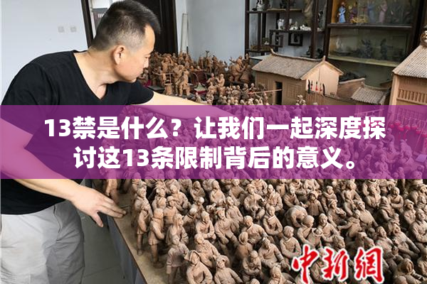 13禁是什么？让我们一起深度探讨这13条限制背后的意义。