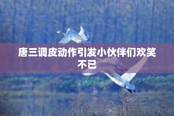 唐三调皮动作引发小伙伴们欢笑不已