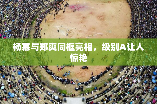 杨幂与郑爽同框亮相，级别A让人惊艳