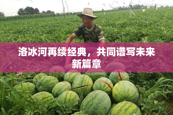 洛冰河再续经典，共同谱写未来新篇章
