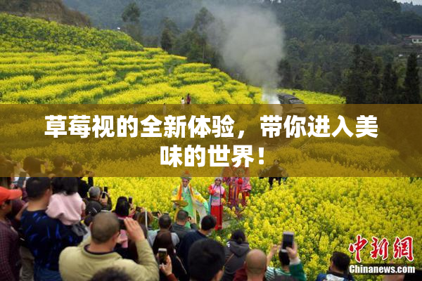 草莓视的全新体验，带你进入美味的世界！