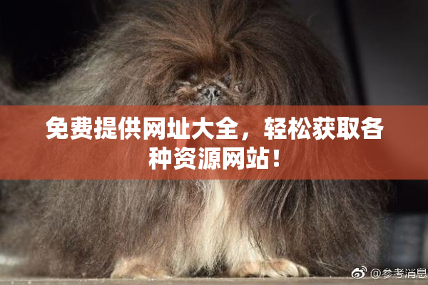 免费提供网址大全，轻松获取各种资源网站！
